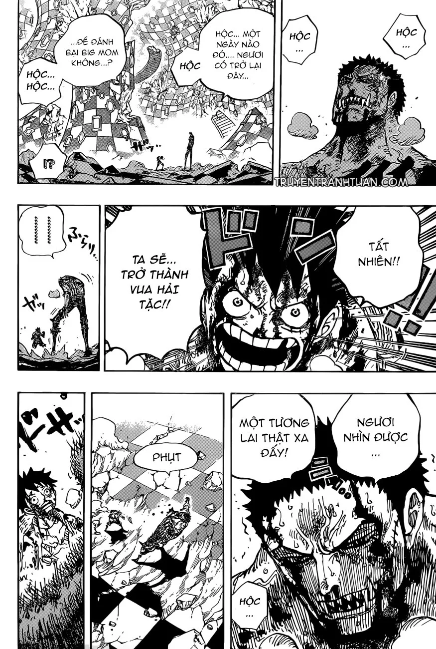 One Piece chương 896 - trang 14