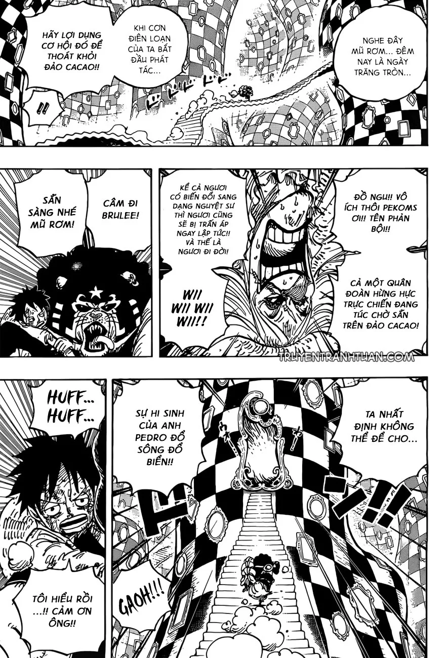 One Piece chương 897 - trang 5