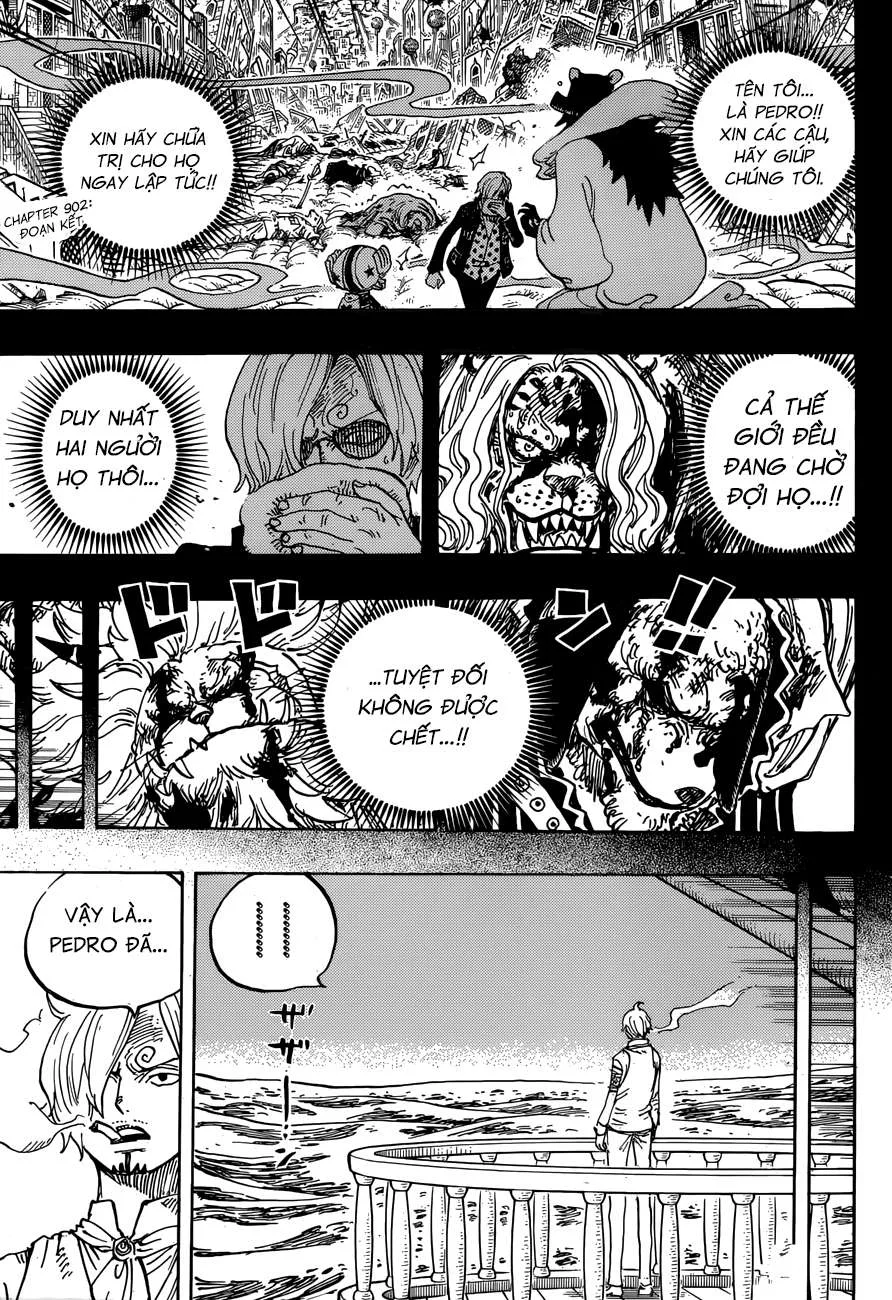 One Piece chương 902 - trang 3