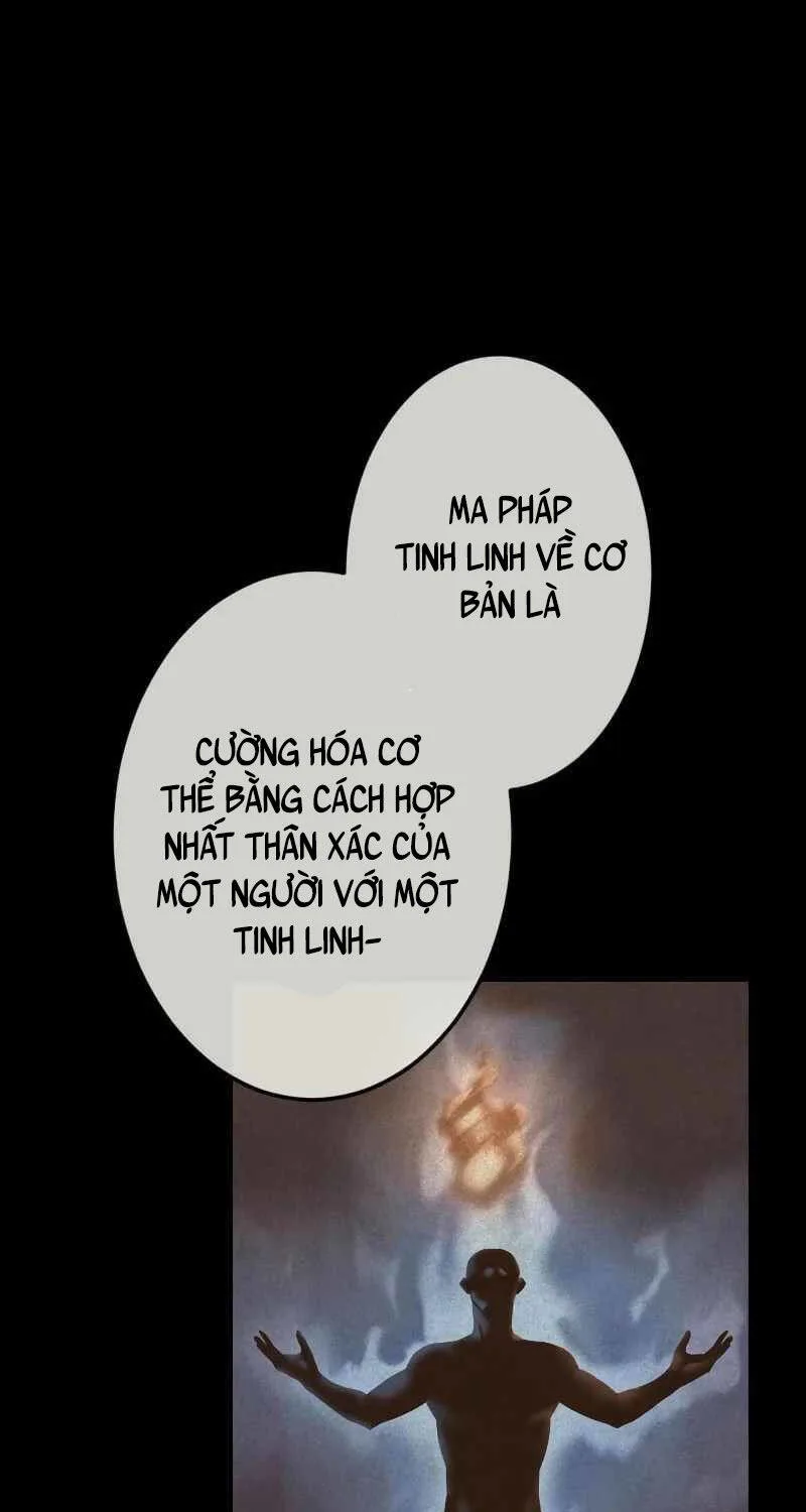 Pháp Sư Cận Chiến Hồi Quy chương 28 - trang 11