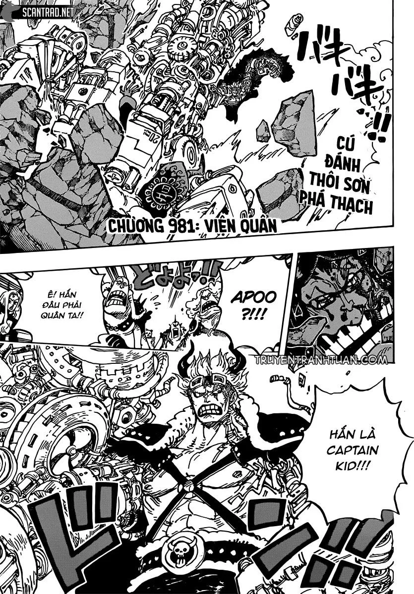 One Piece chương 981 - trang 4