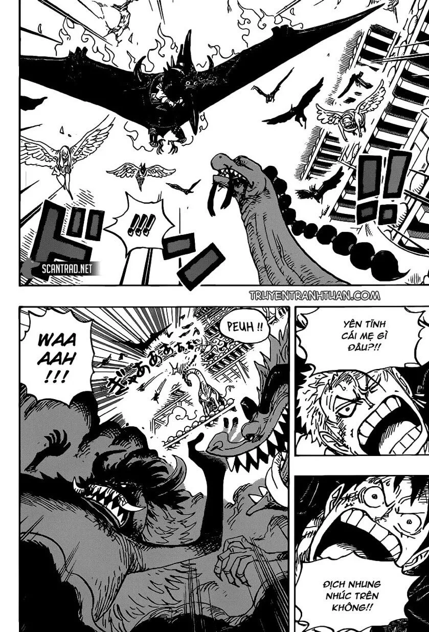 One Piece chương 989 - trang 12