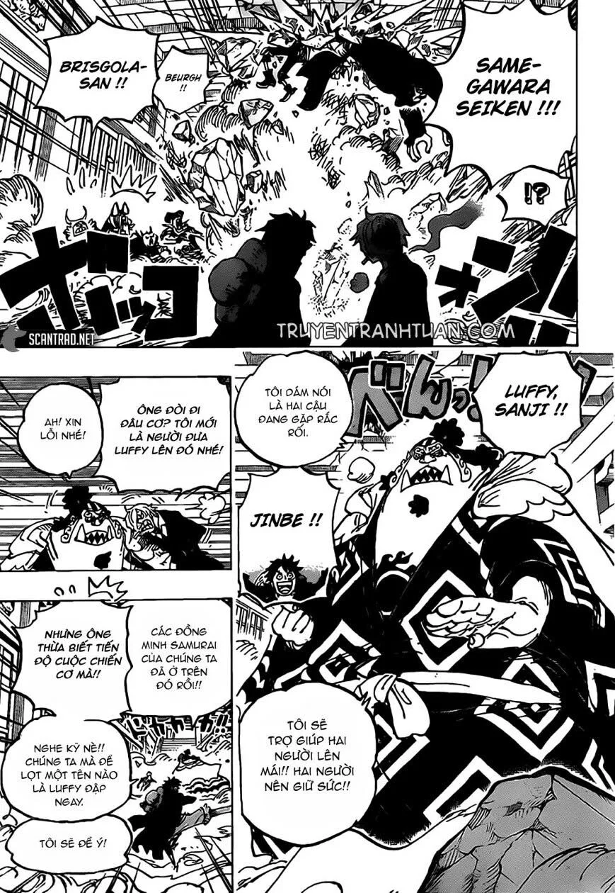 One Piece chương 993 - trang 9