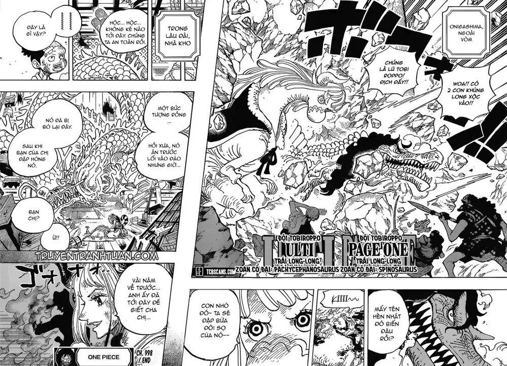 One Piece chương 998 - trang 11