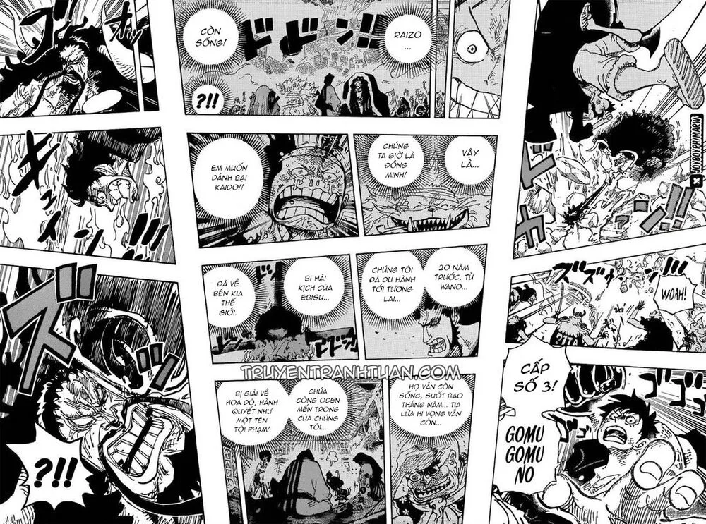 One Piece chương 1000 - trang 13