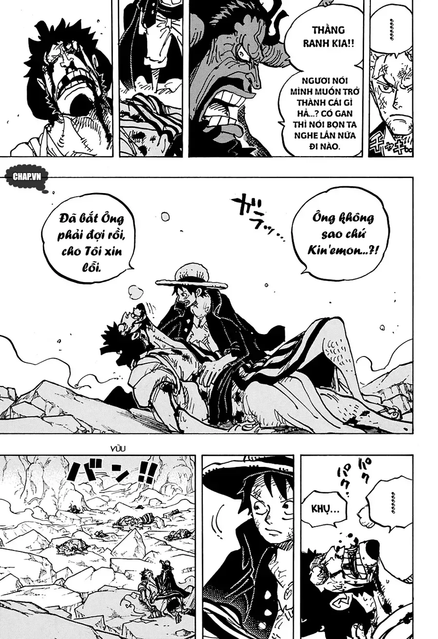 One Piece chương 1000.1 - trang 13