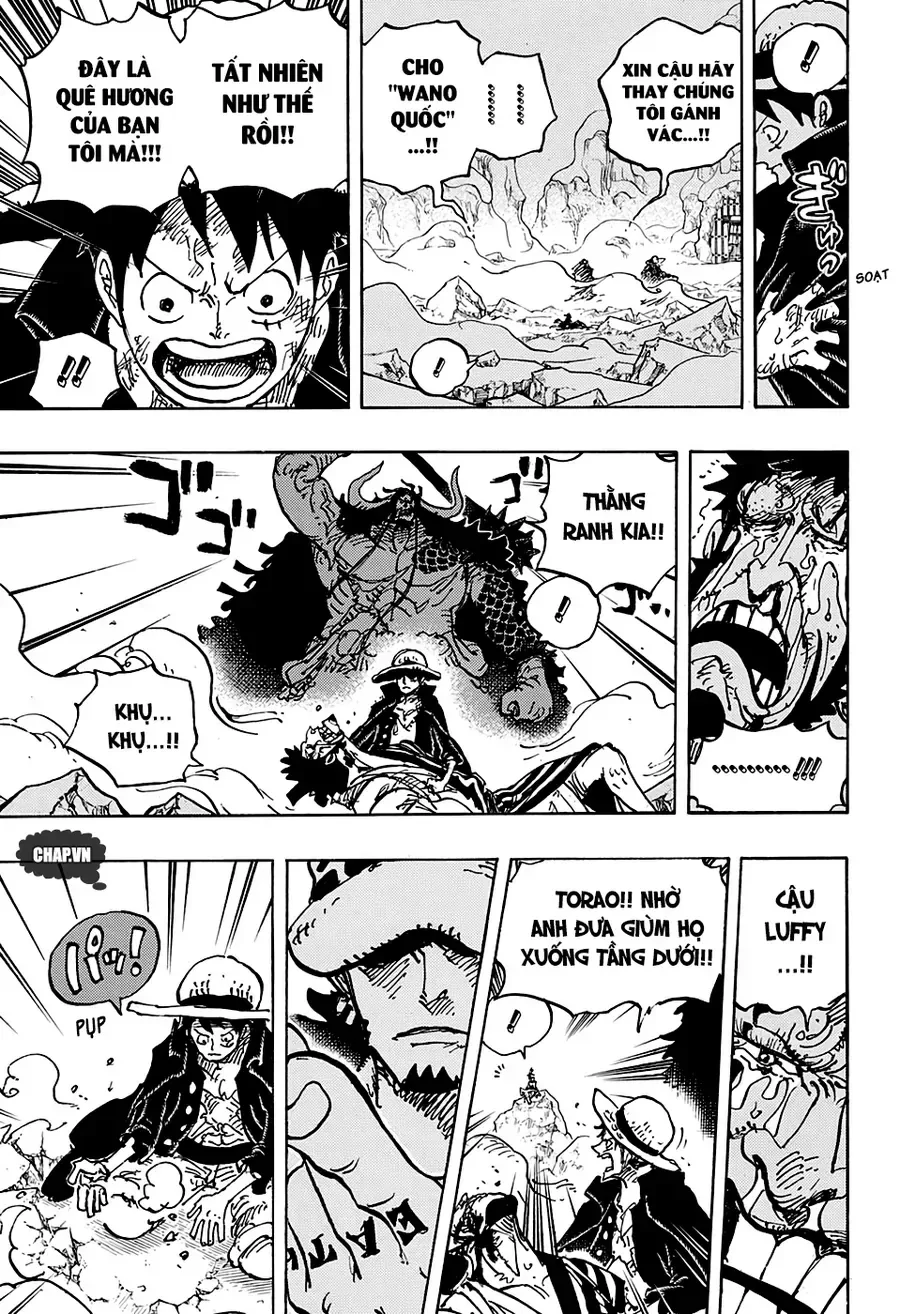 One Piece chương 1000.1 - trang 15