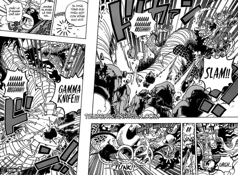One Piece chương 1002 - trang 5