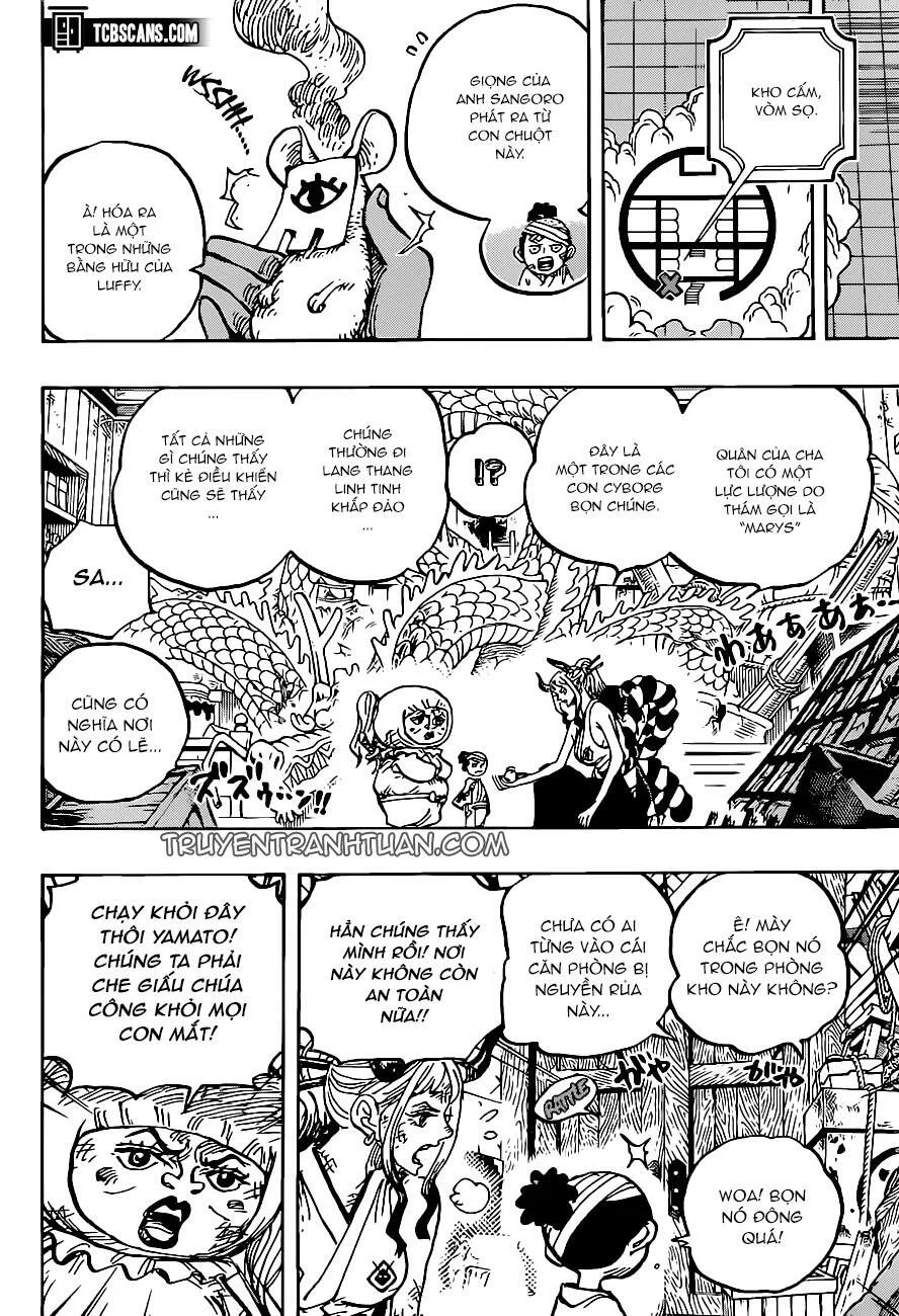 One Piece chương 1005 - trang 13