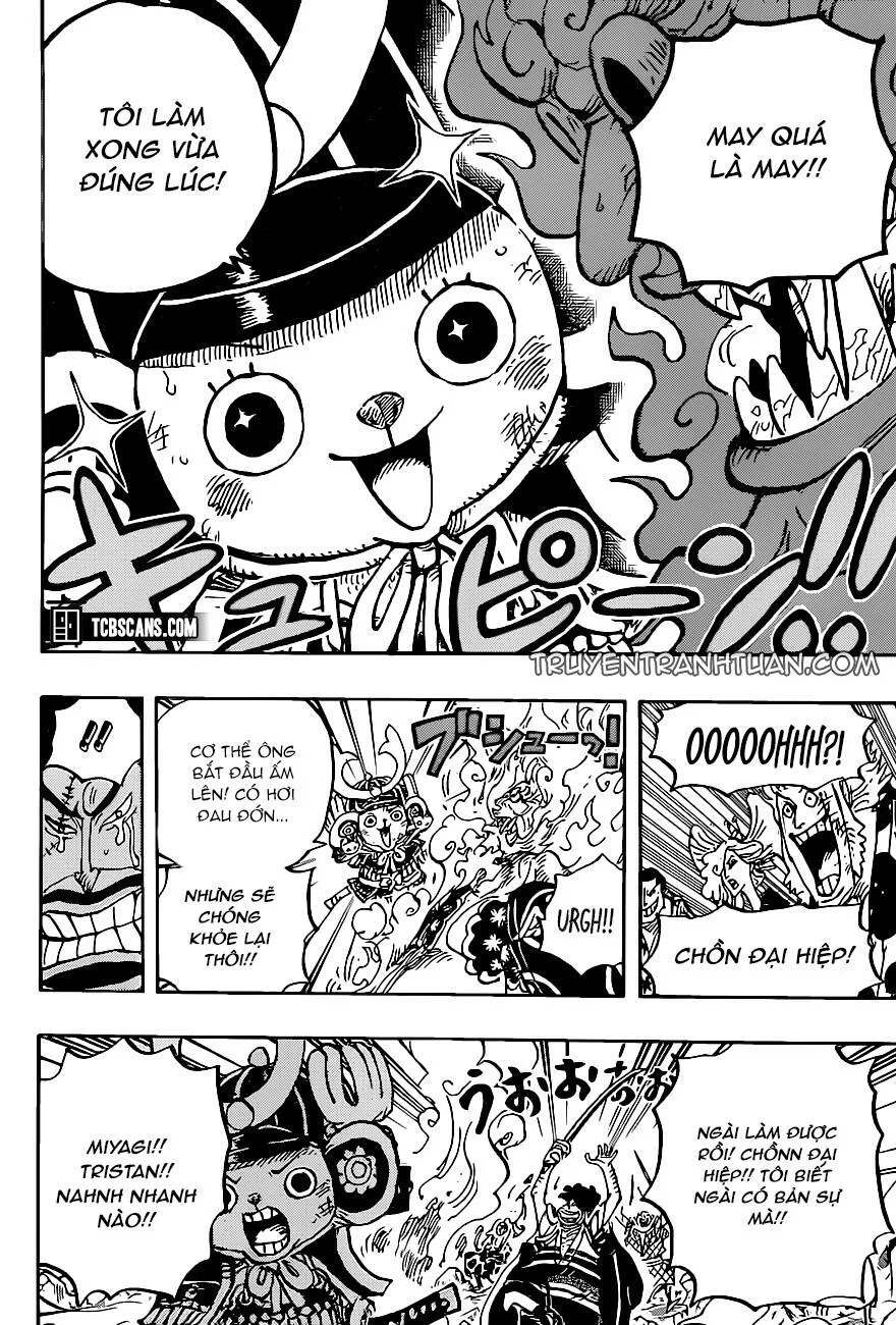 One Piece chương 1007 - trang 8
