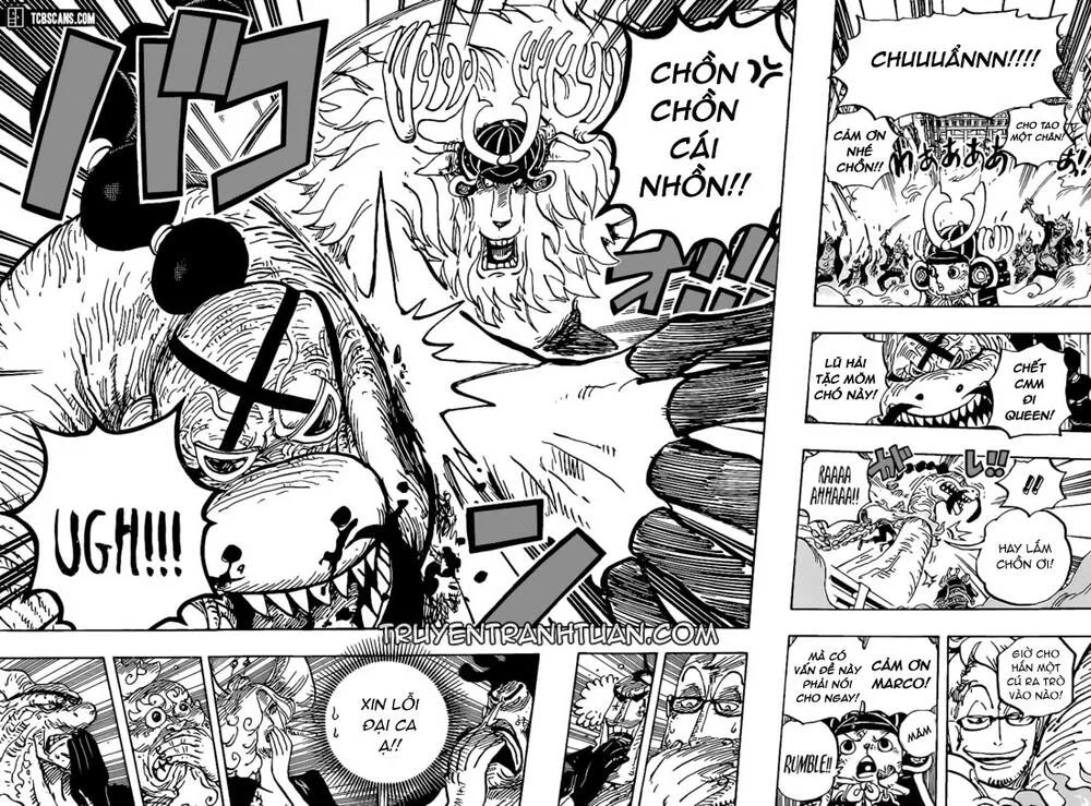 One Piece chương 1007 - trang 12