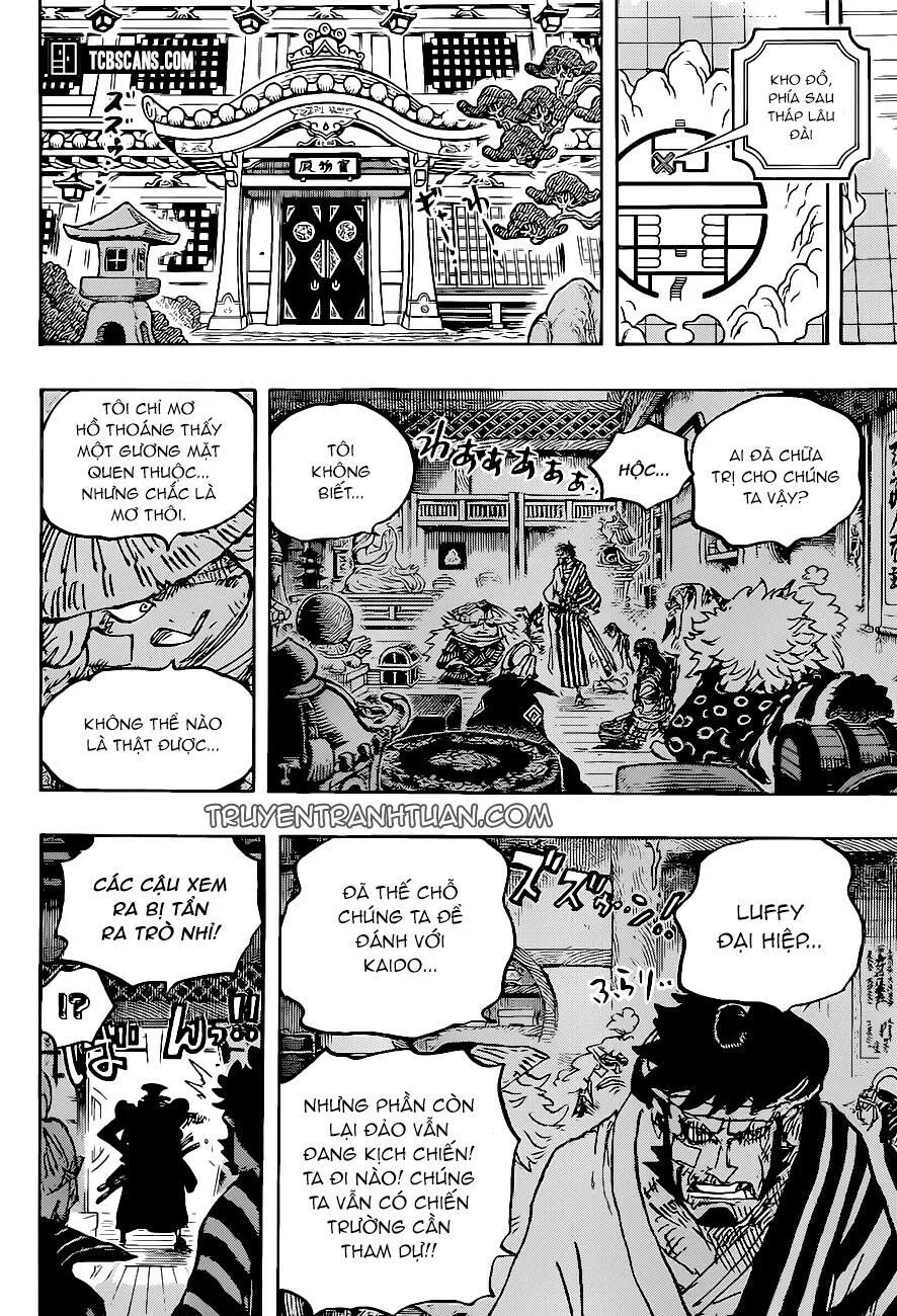 One Piece chương 1007 - trang 15
