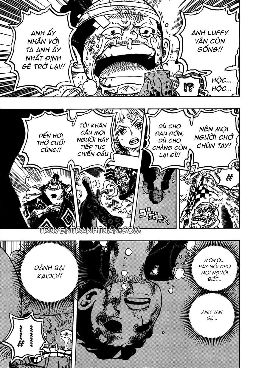 One Piece chương 1015 - trang 12