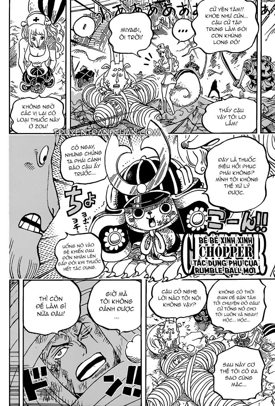 One Piece chương 1017 - trang 12