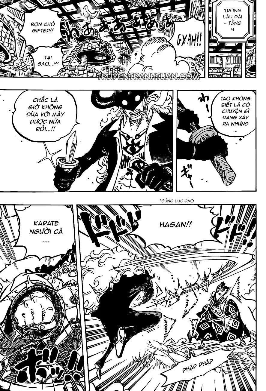 One Piece chương 1017 - trang 13