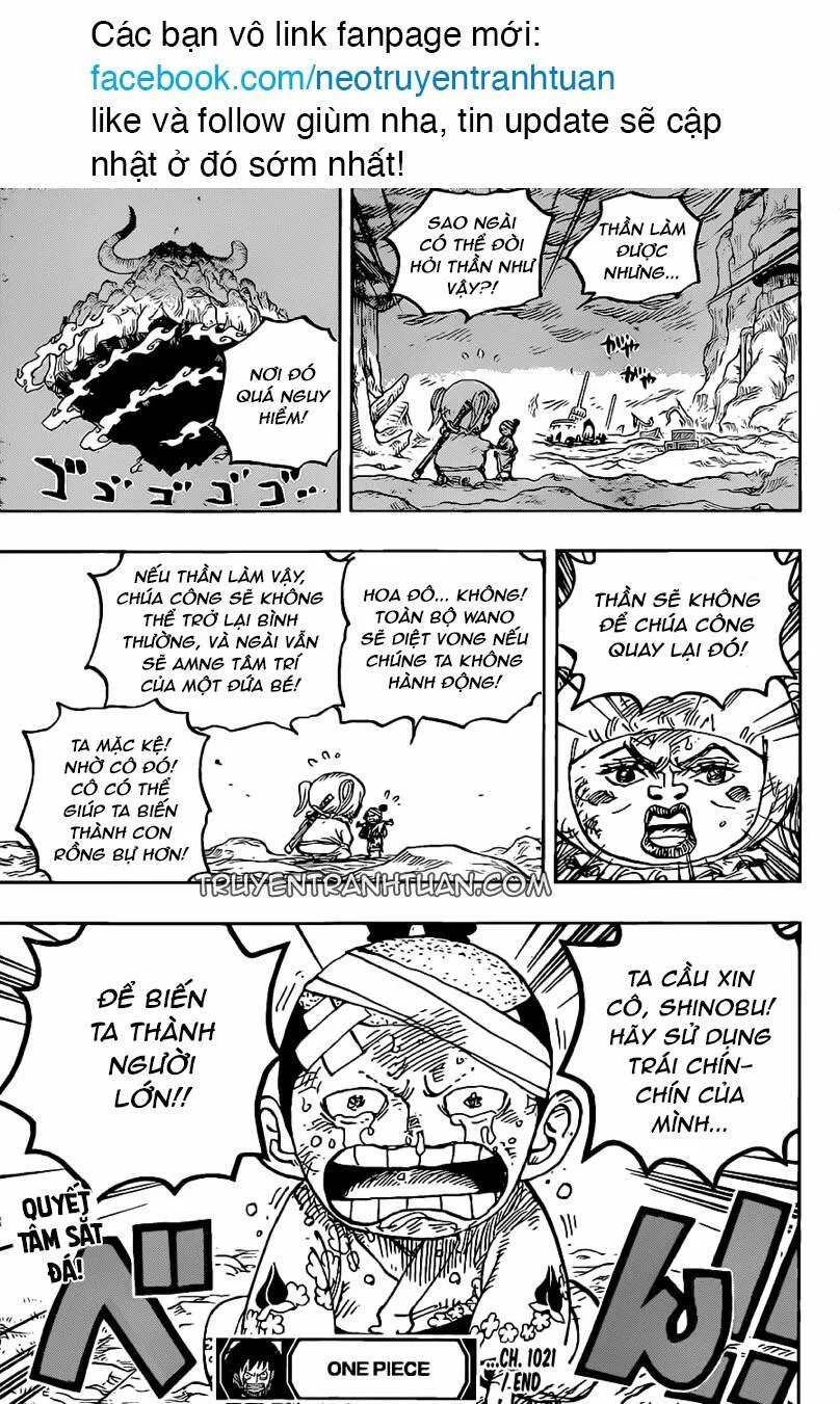 One Piece chương 1021 - trang 16
