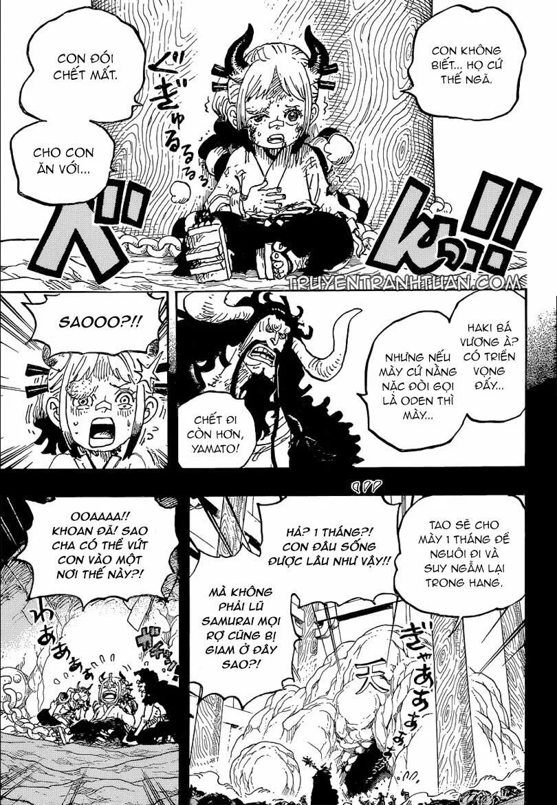 One Piece chương 1024 - trang 12