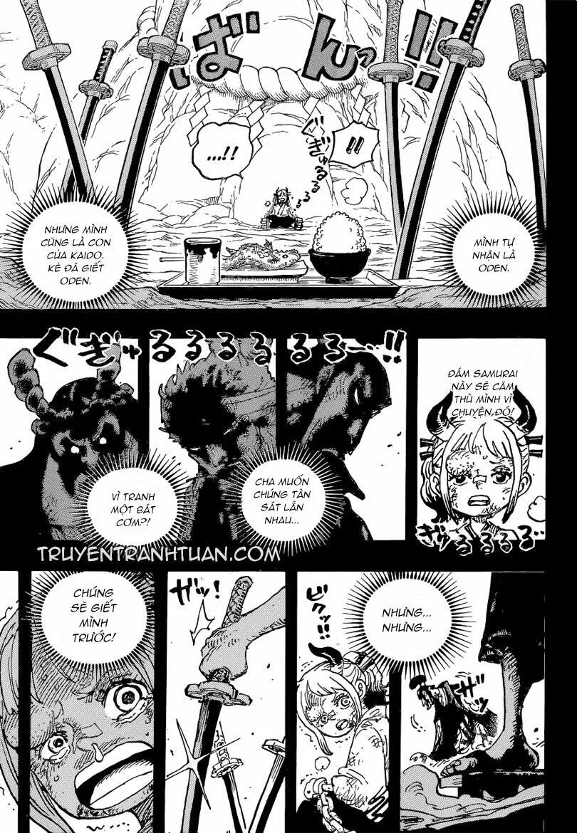One Piece chương 1024 - trang 14