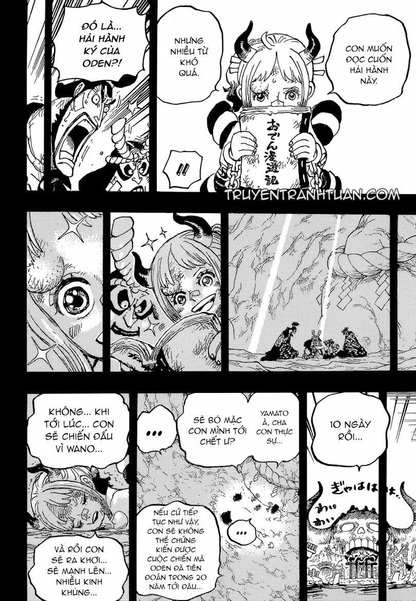 One Piece chương 1024 - trang 17