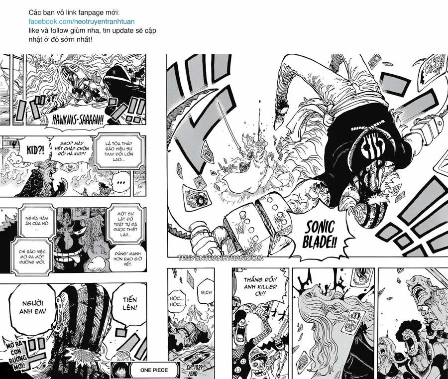 One Piece chương 1029 - trang 14