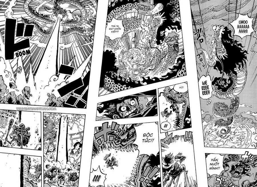 One Piece chương 1042 - trang 8