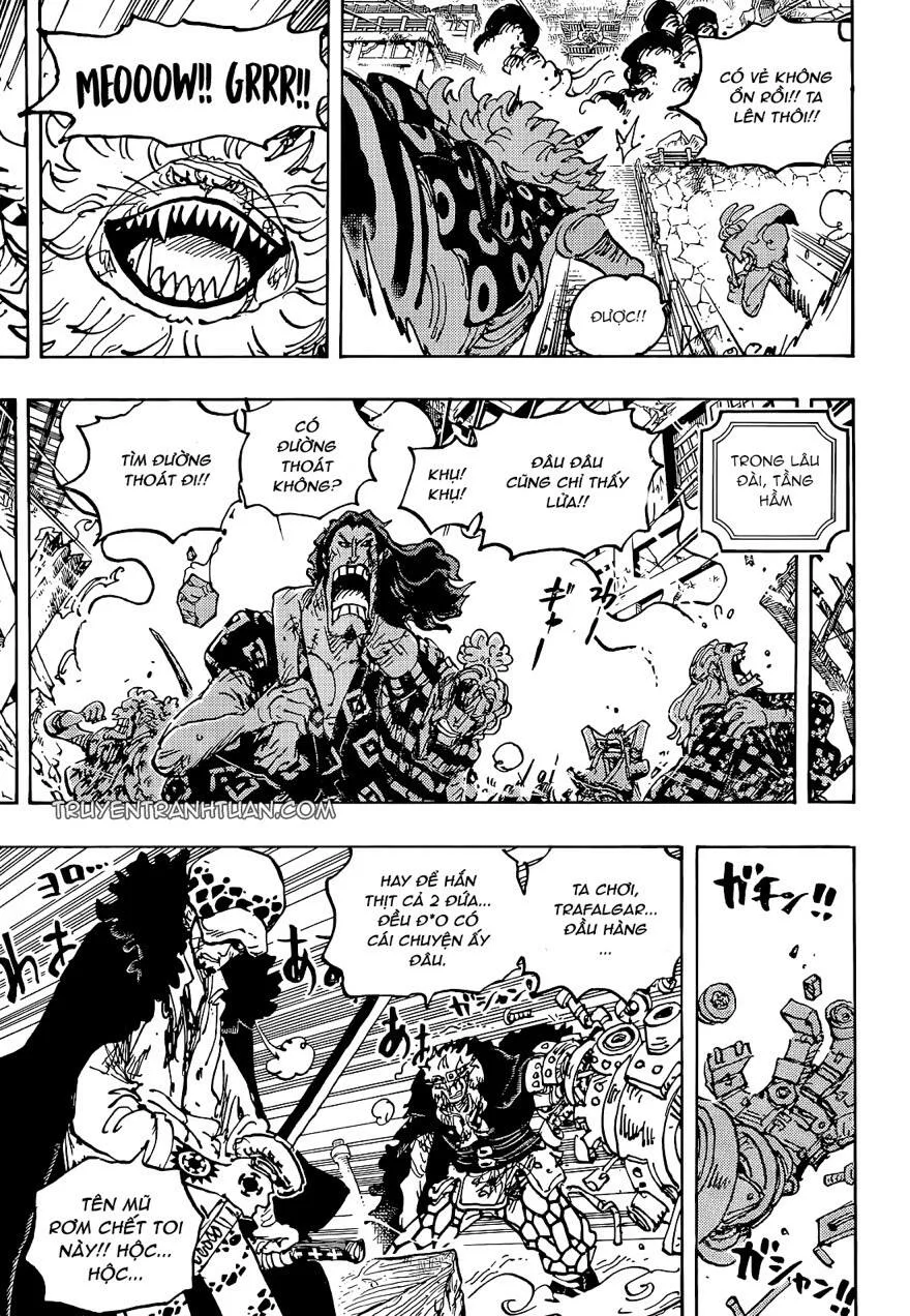 One Piece chương 1043 - trang 11