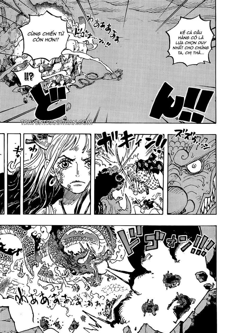 One Piece chương 1043 - trang 13
