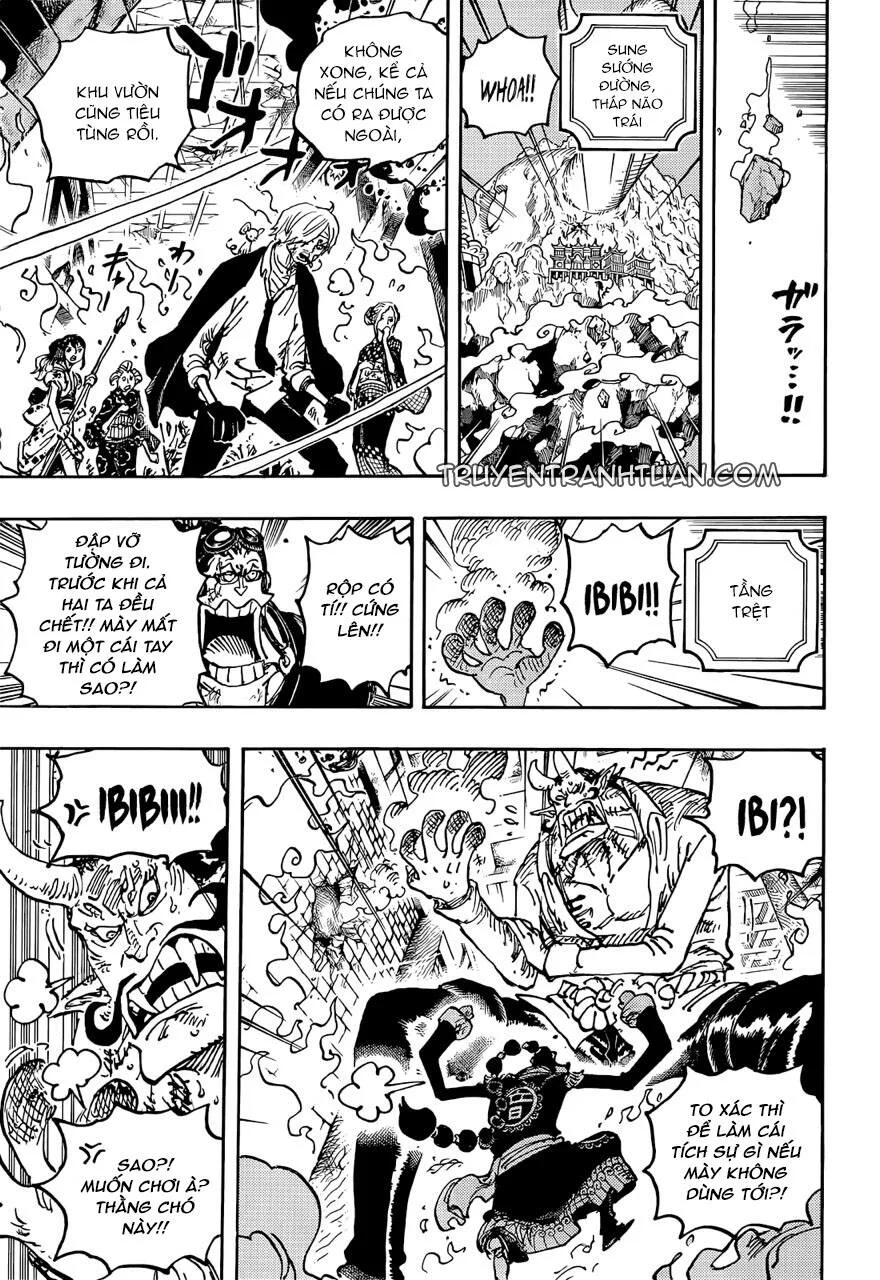 One Piece chương 1046 - trang 8
