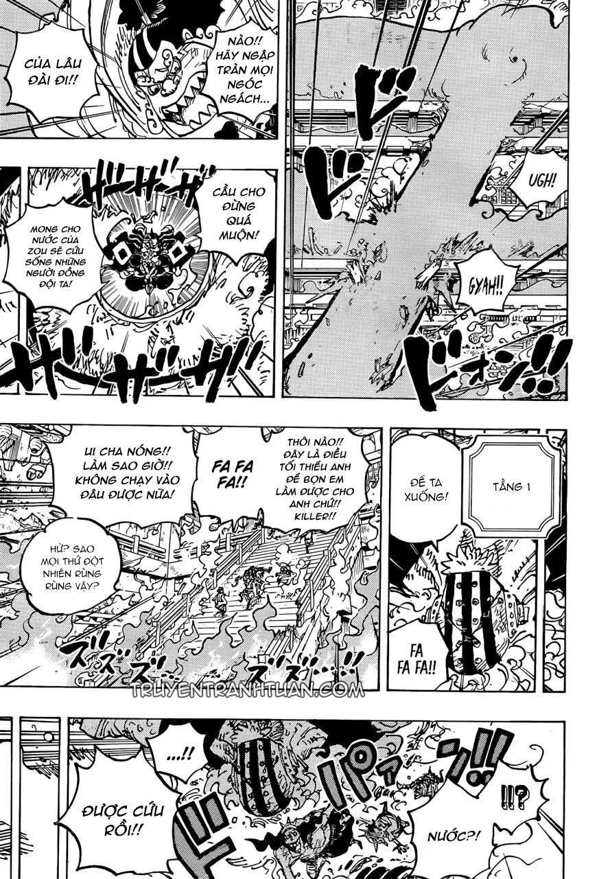 One Piece chương 1046 - trang 13