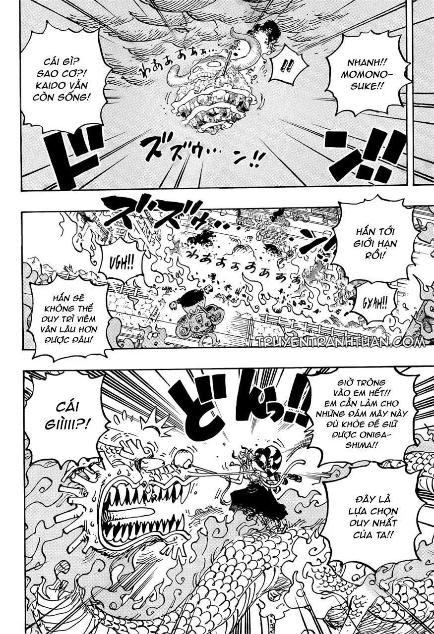One Piece chương 1046 - trang 14