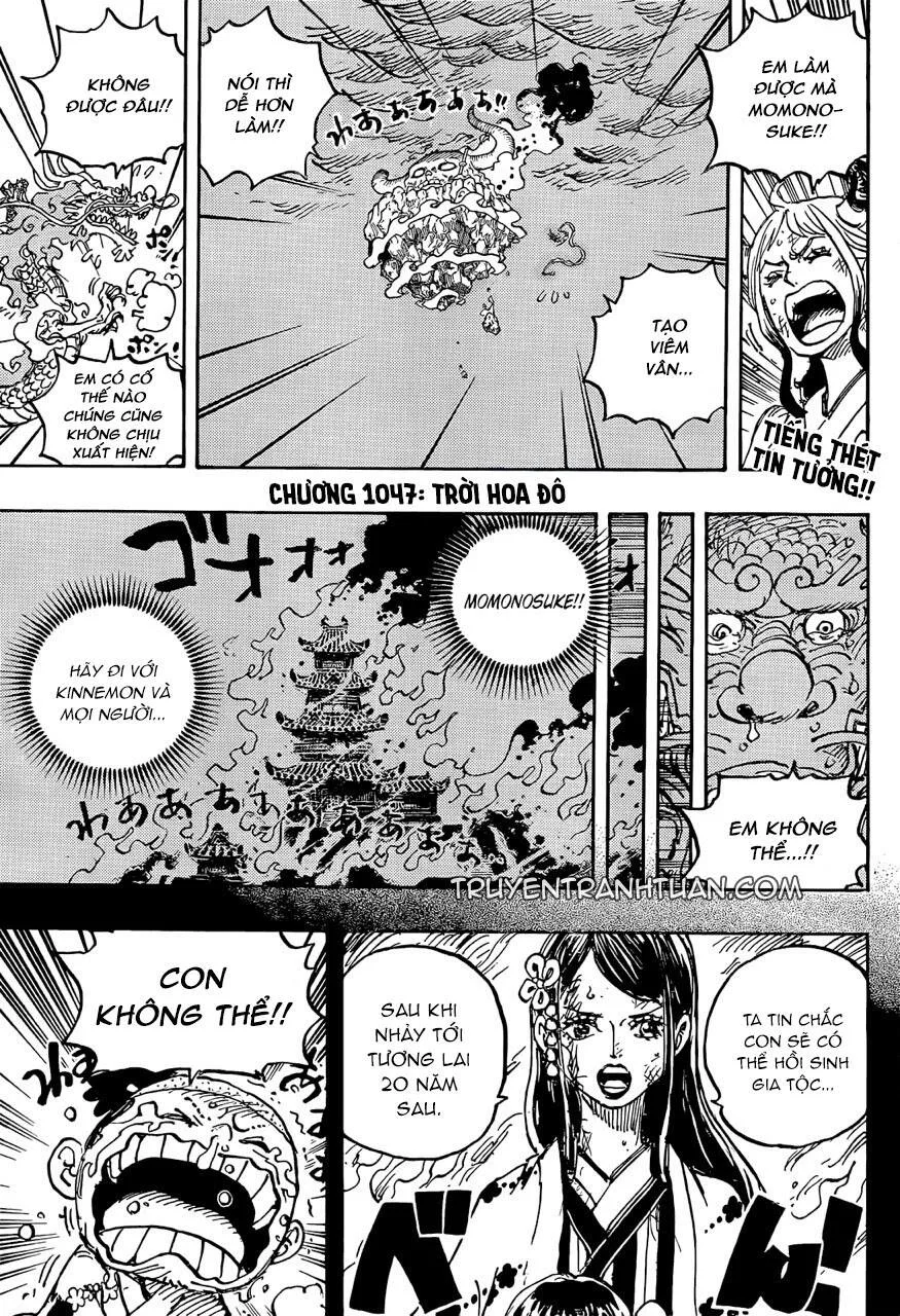 One Piece chương 1047 - trang 3
