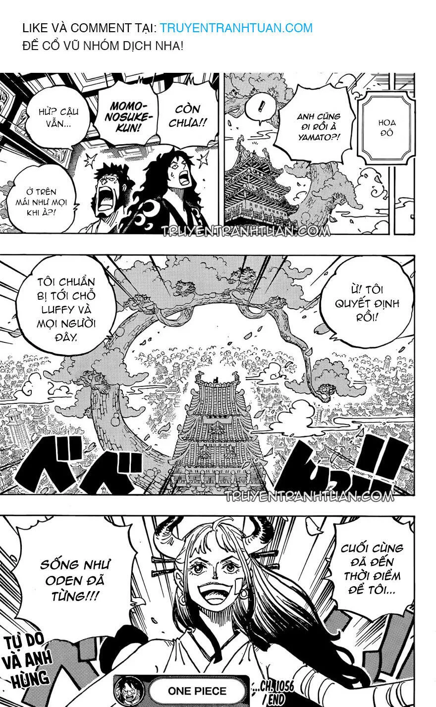 One Piece chương 1056 - trang 18