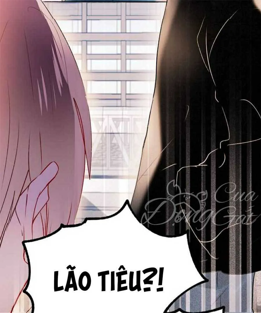 Thành Dã Tiêu Hà chương 26 - trang 38
