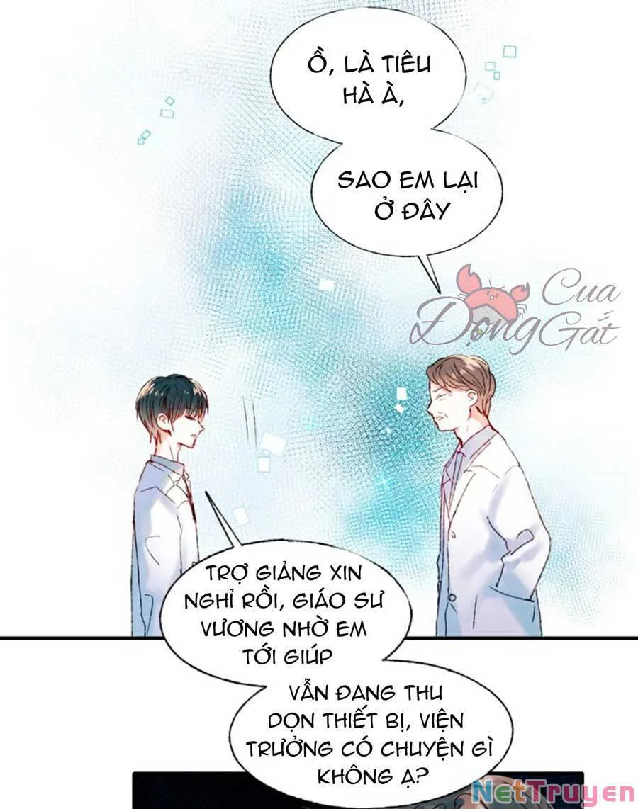 Thành Dã Tiêu Hà chương 42 - trang 7