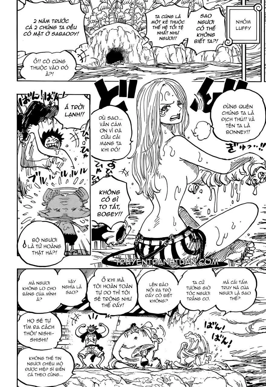 One Piece chương 1061 - trang 11