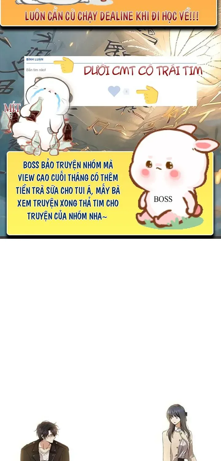 Thuần Túy Bất Lương chương 2 - trang 3
