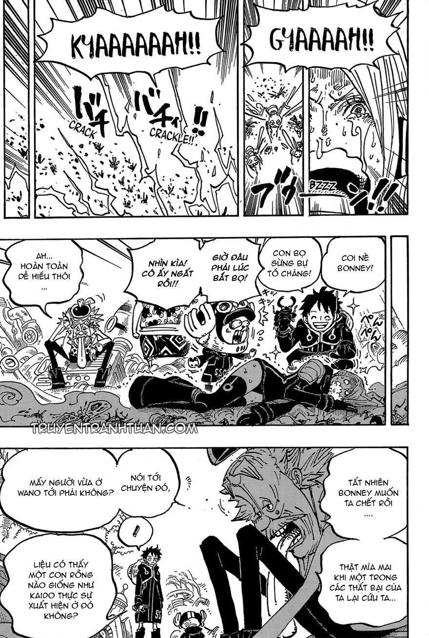 One Piece chương 1067 - trang 8