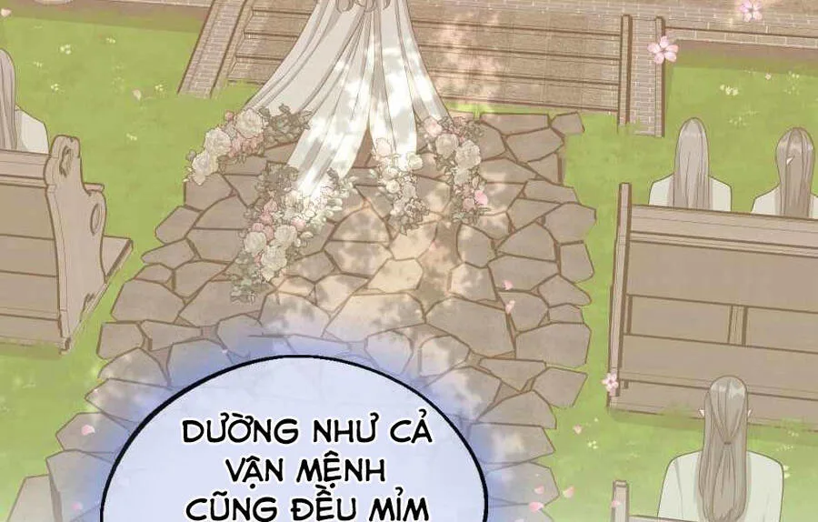 Ánh Sáng Cuối Con Đường chương 131 - trang 146
