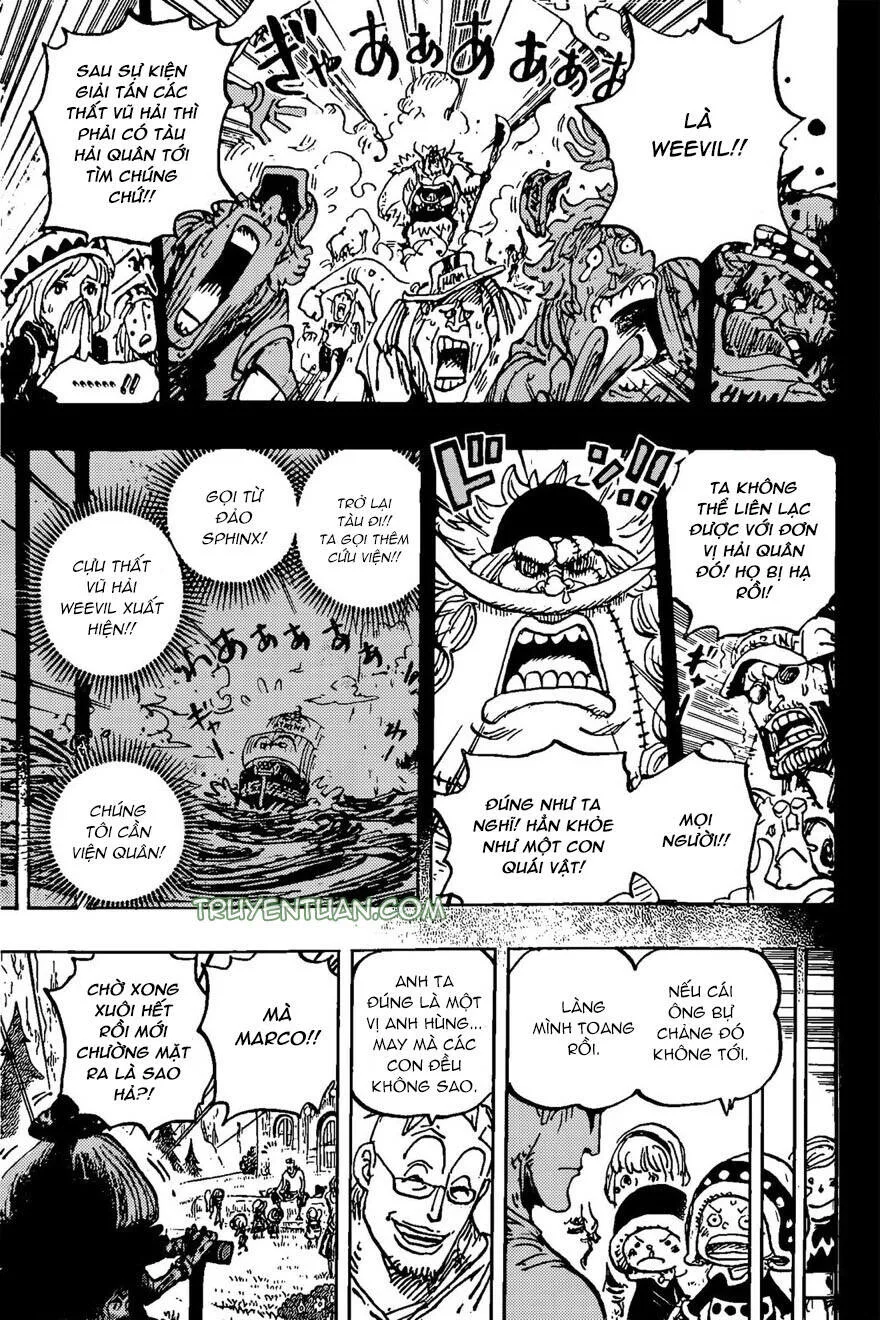 One Piece chương 1073 - trang 13