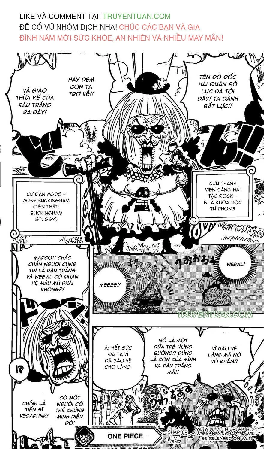 One Piece chương 1073 - trang 14