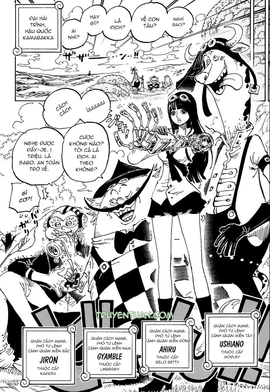 One Piece chương 1082 - trang 11