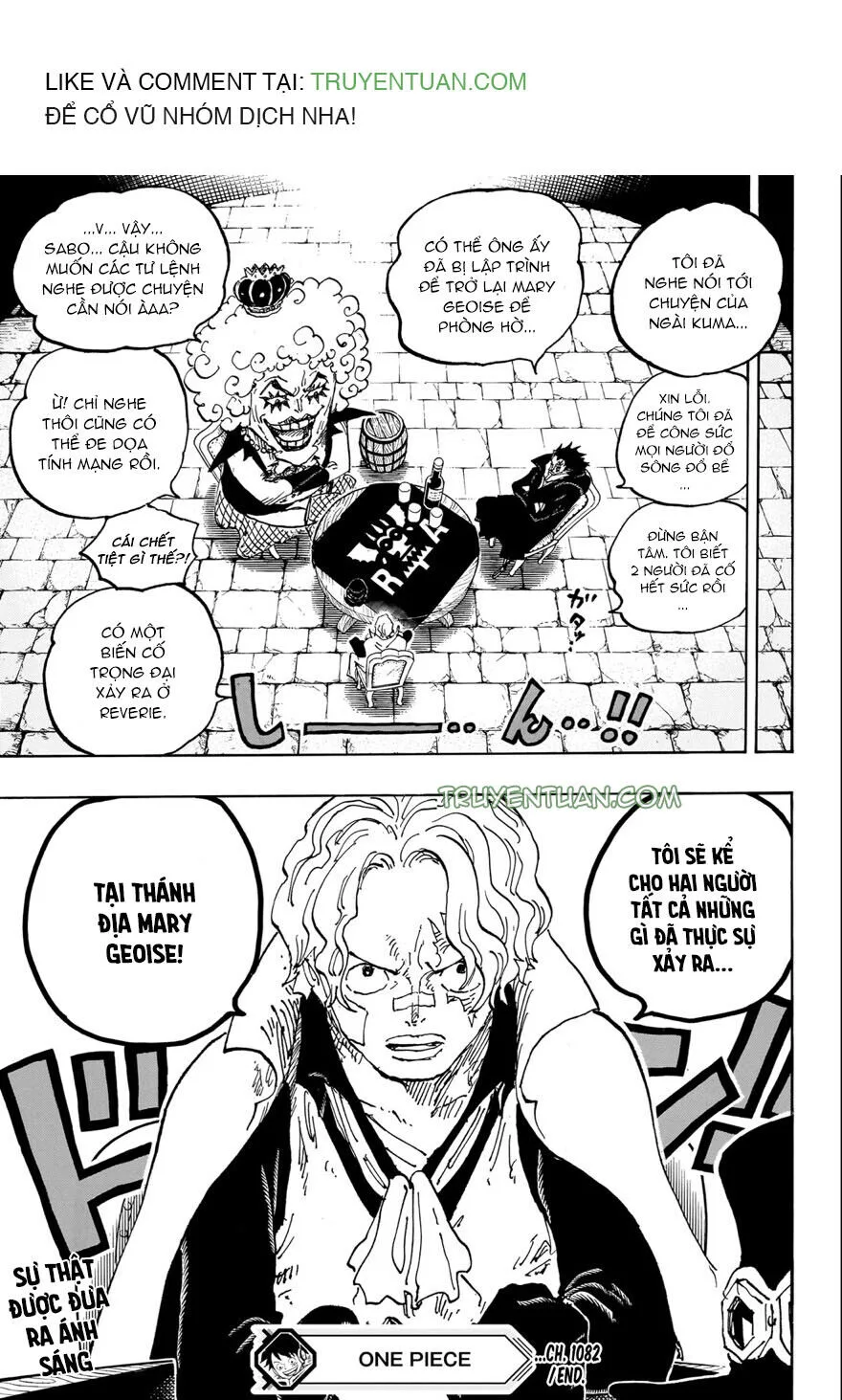 One Piece chương 1082 - trang 14