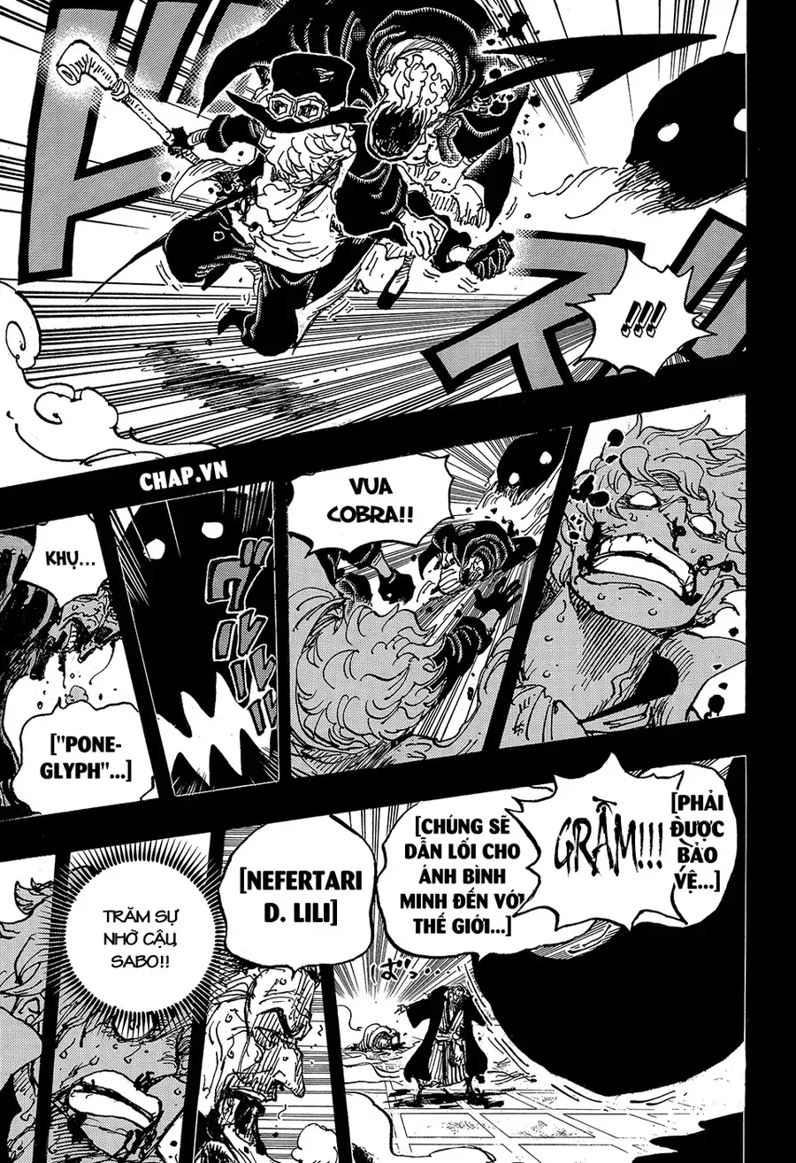 One Piece chương 1085.1 - trang 10