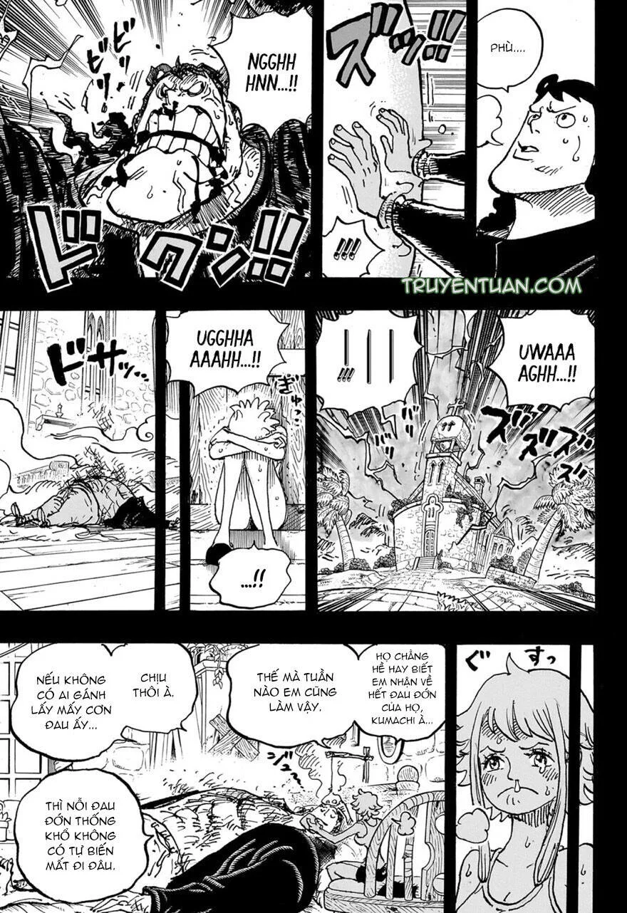 One Piece chương 1097 - trang 7