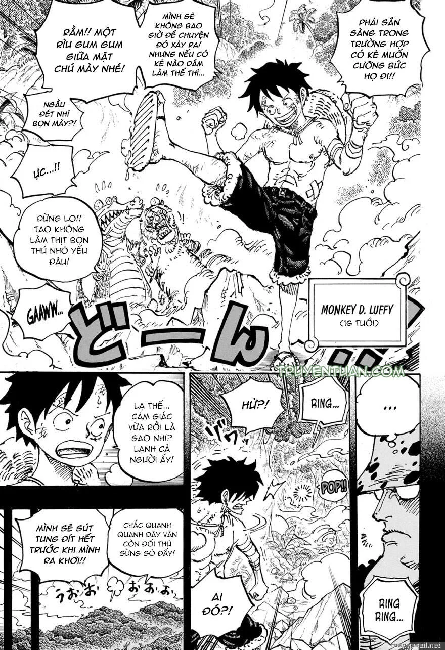 One Piece chương 1101 - trang 6