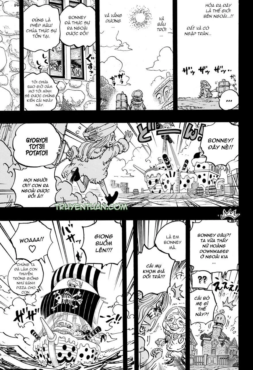 One Piece chương 1101 - trang 16