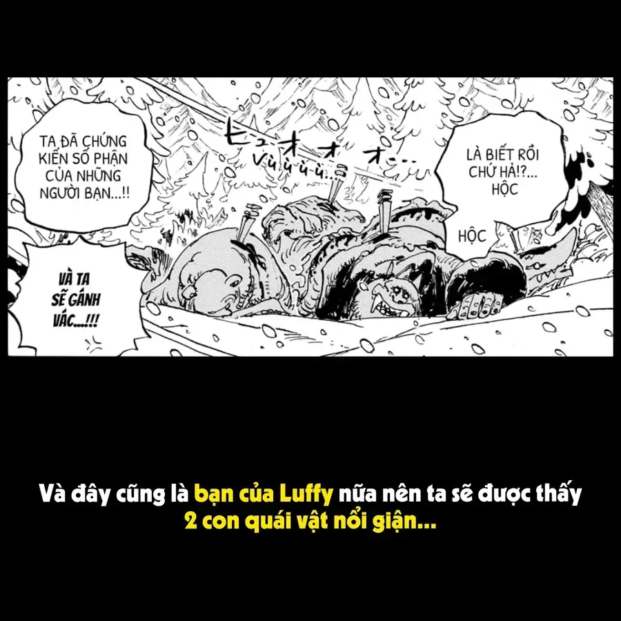 One Piece chương 1138.1 - trang 9