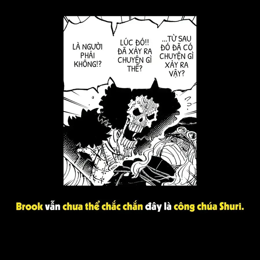 One Piece chương 1189.1 - trang 15