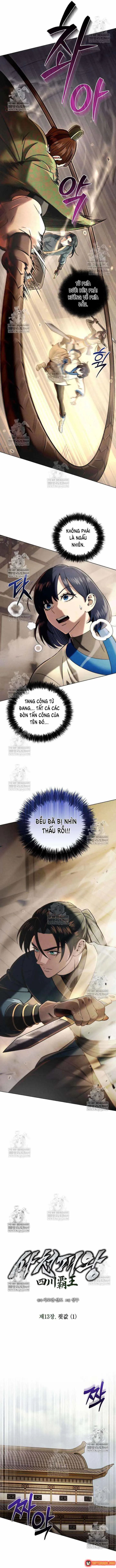 Tứ Xuyên Bá Vương chương 13 - trang 10