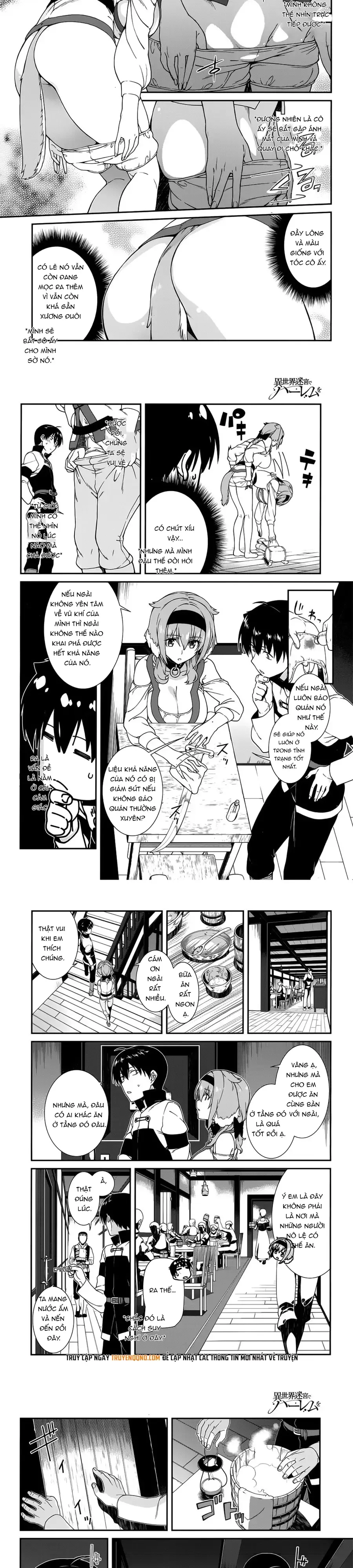 Isekai Meikyuu De Harem Wo chương 11 - trang 2